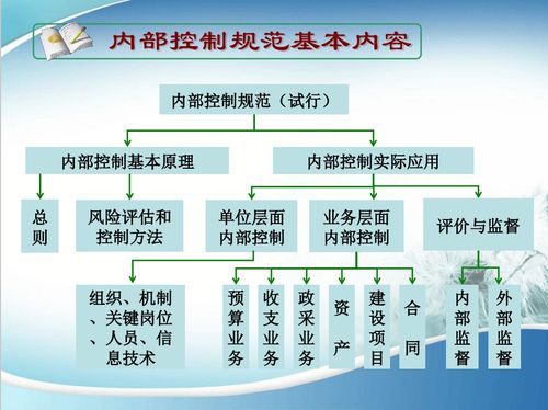 天津保税区加强内部控制管理咨询服务